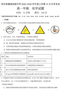 黑龙江省哈尔滨德强高级中学2025-2026学年高一上学期12月月考化学试卷（图片版，含答案）
