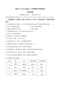 山东省济南第一中学2025-2026学年高一上学期期中学情检测化学试卷（含答案）