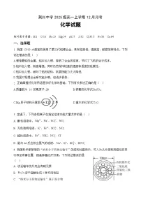 湖北省荆州市荆州中学2025-2026学年高一上学期12月月考化学试题（Word版附答案）