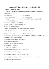 2024-2025学年福建省漳州市高二（上）期末化学试卷-自定义类型