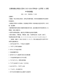 2025-2026学年安徽省鼎尖名校大联考高一上学期11月期中考试化学试卷（学生版）