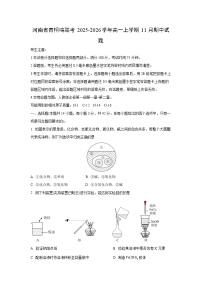 2025-2026学年河南省青桐鸣联考高一上学期11月期中化学试卷（学生版）