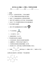 2025-2026学年四川省高三上学期11月联考化学试卷（附答案解析）