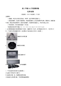 河北省T8联考暨“五市十校”教学联盟2026届高三上学期12月检测训练 化学试卷（含答案）