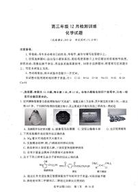T8联考2026届高三上学期12月检测训练化学(河北)试卷+答案