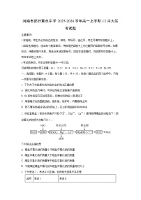 2025-2026学年河南省部分重点中学高一上学期12月大联考化学试卷（学生版）