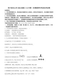 四川省乐山市2026届高三上12月第一次调查研究考试化学试卷（含答案）