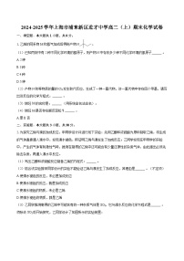 2024-2025学年上海市浦东新区进才中学高二（上）期末化学试卷-自定义类型