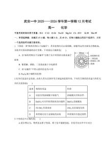 河北省邯郸市武安市第一中学2025-2026学年高一上学期12月月考化学试卷