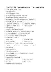 2024-2025学年上海市青浦高级中学高二（上）期末化学试卷（含答案+解析）