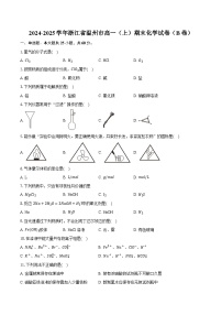2024-2025学年浙江省温州市高一（上）期末化学试卷（B卷）（含答案+解析）