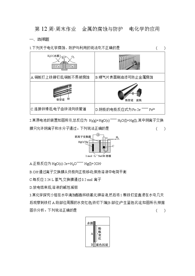 高二化学(人教版选择性必修一)试题周末作业第12周金属的腐蚀与防护 电化学的应用(Word版附解析)第1页