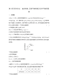 化学人教版 (2019)化学平衡当堂达标检测题