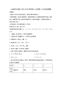 2025-2026学年山东省大联考高一上学期12月月考化学试卷（学生版）