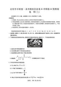2025-2026学年广西南宁市第一中学高三上学期名校高考模拟化学试题（有解析）
