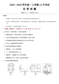 河北省保定市唐县第一中学2025-2026学年高一上学期12月月考化学试卷