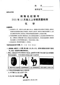 河南省湘豫名校联考2025年12月高三上学期质量检测化学试卷（含答案）