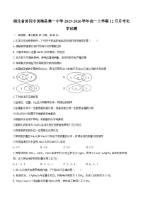 湖北省黄冈市黄梅县第一中学2025-2026学年高一上学期12月月考化学试题-自定义类型