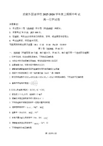 四川省成都外国语学校2025-2026学年高一上学期期中测试化学试卷（Word版附解析）