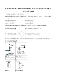 江苏省苏州市新区实验中学科技城校区2025-2026学年高一上学期12月月考化学试题-自定义类型