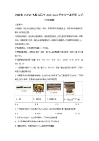 2025-2026学年河南省TOP20名校大联考高一上学期12月月考化学试卷（学生版）