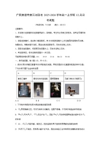 2025-2026学年广西贵港市贵百河联考高一上学期12月月考化学试卷（学生版）
