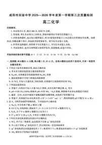 2025-2026学年陕西省咸阳市实验中学高一上学期第三次质量检测化学试卷（有答案）