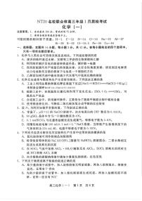 2025-2026学年NT20,名校高三上学期1月化学试题及答案