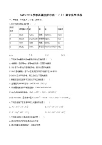 2025-2026学年西藏拉萨市高一（上）期末化学试卷-自定义类型