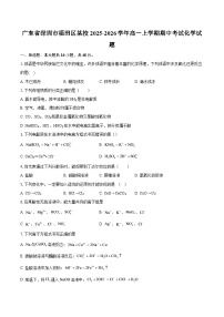 广东省深圳市福田区某校2025-2026学年高一上学期期中考试化学试题-自定义类型