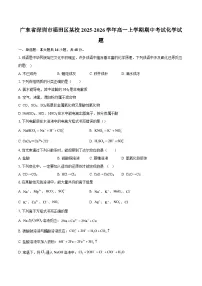 广东省深圳市福田区某校2025-2026学年高一上学期期中考试化学试题-自定义类型