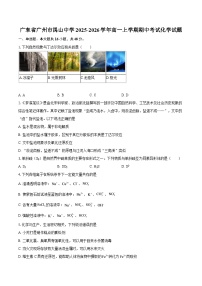 广东省广州市禺山中学2025-2026学年高一上学期期中考试化学试题-自定义类型