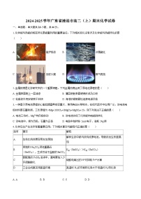 2024-2025学年广东省清远市高二（上）期末化学试卷-自定义类型