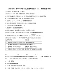 2024-2025学年广东省汕头市潮南区高二（上）期末化学试卷-自定义类型