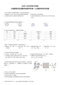 2025~2026学年10月四川成都青羊区成都市树德中学高一上学期月考化学试卷（有答案解析）