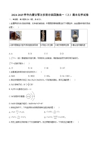 2024-2025学年内蒙古鄂尔多斯市西四旗高一（上）期末化学试卷-自定义类型