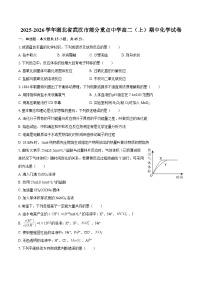2025-2026学年湖北省武汉市部分重点中学高二（上）期中化学试卷-自定义类型