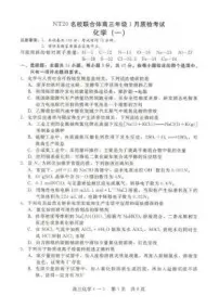 河北省NT20名校联合体2026届高三上学期1月质检考试化学试卷(月考)