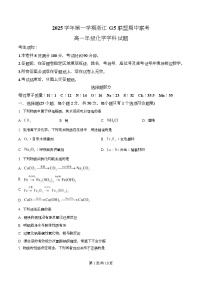 浙江省G5联盟2025-2026学年高一上学期11月期中化学试卷（Word版附解析）