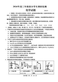 2025-2026学年山东省青岛市高三上学期部分学生调研检测化学试题（含答案）