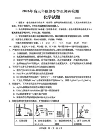 2025-2026学年山东省青岛市高三上学期部分学生调研检测化学试题（含答案）