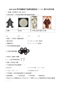 2025-2026学年湖南省平高教育集团高二（上）期中化学试卷-自定义类型