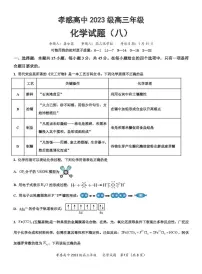湖北孝感高级中学2026届高三上学期化学周测卷试题+答案