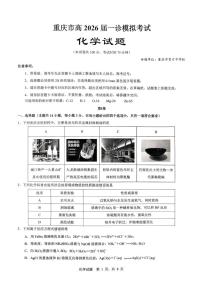 重庆市育才中学校2026届高三高考一诊模拟考试化学试卷（含答案）