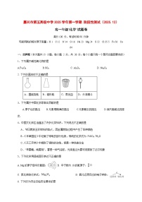 浙江省嘉兴市第五高级中学2025~2026学年高一上册（12月）月考化学试题 [附答案]