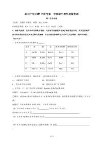 上海市新川中学2025-2026学年高一上册期中考试化学试卷（含答案）