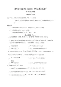 福建省漳州艺术实验学校2024-2025学年高二上册第三次月考化学试卷(含答案)