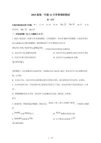 江苏省苏州工业园区星海实验中学2025-2026学年高一上册12月月考化学试卷(含解析)