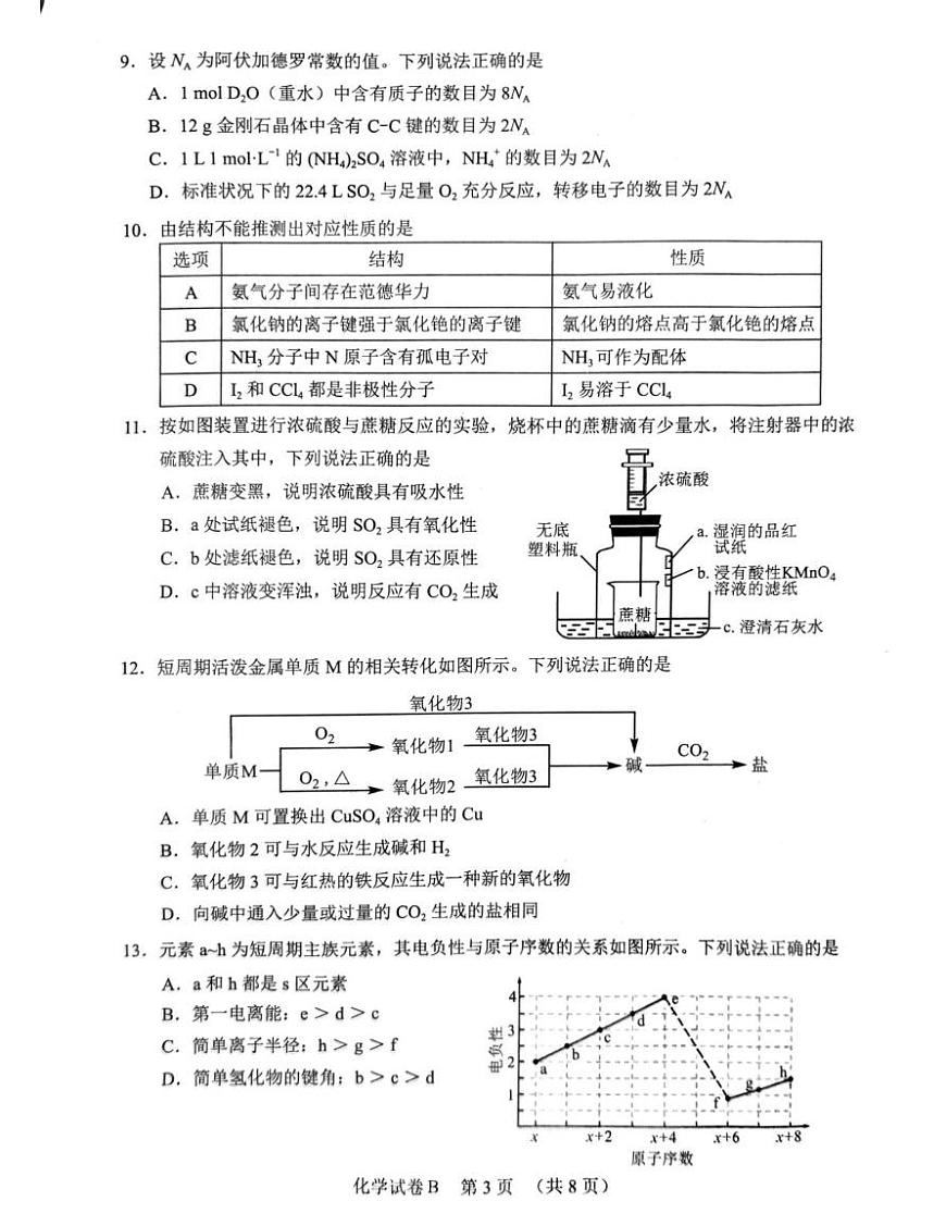 广东省广州市2026届高三上学期调研测试化学(B卷)试卷(扫描版无答案)第3页