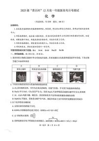 广西贵百河2025-2026学年高一上学期12月新高考月考测试化学试卷（PDF版附解析）